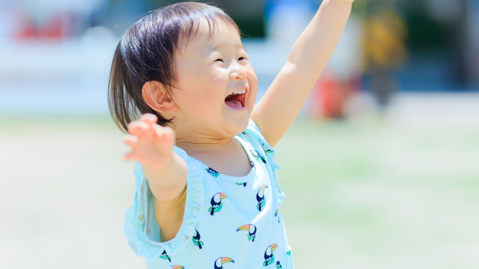 アドバイザーからのメッセージ